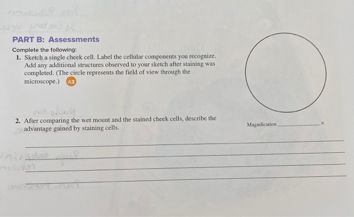 Solved PART B: Assessments Complete The Following: 1. Sketch | Chegg.com