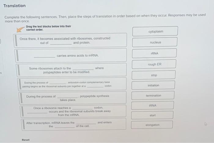 solved-translation-complete-the-following-sentences-then-chegg