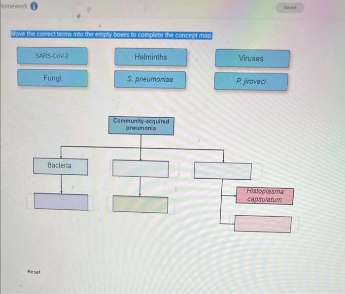 pneumonia concept map