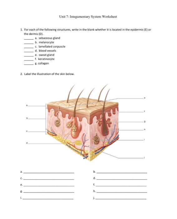 Solved 1. For each of the following structures, write in the | Chegg.com