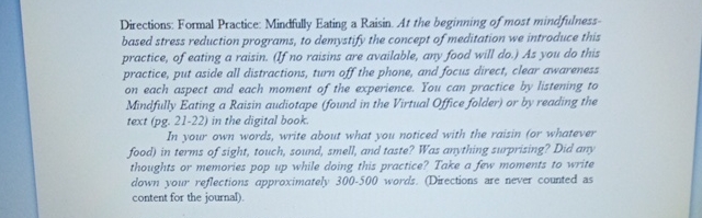 Raisin Meditation, Practice