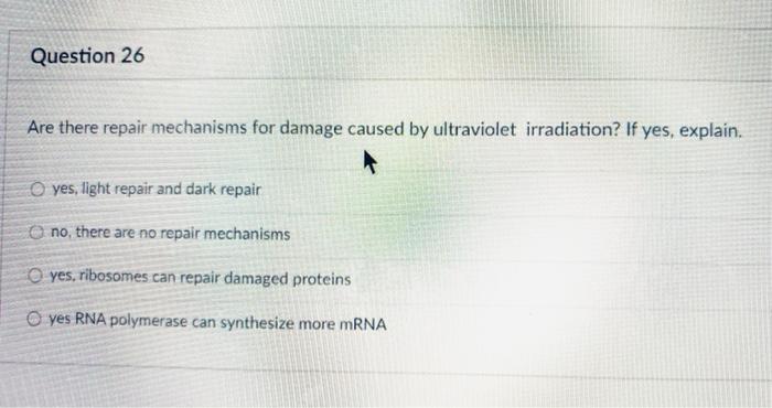 Solved You have isolated a bacterium from an infected | Chegg.com