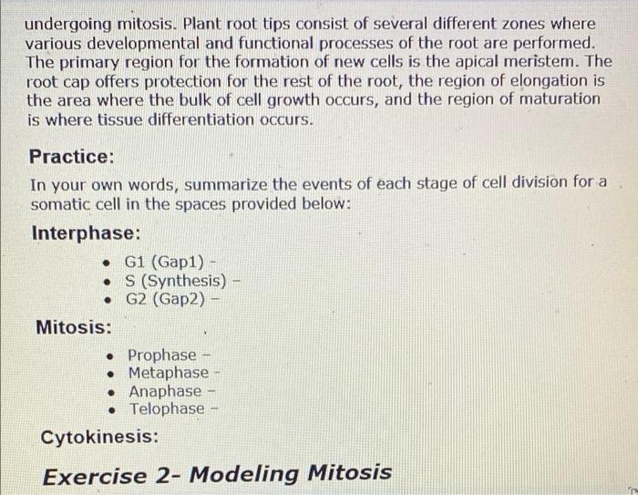 Solved undergoing mitosis. Plant root tips consist of | Chegg.com