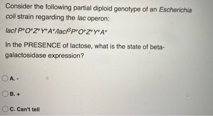 Solved Consider the following partial diploid genotype of an | Chegg.com