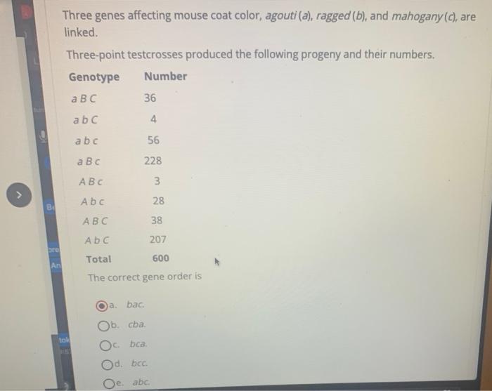 Solved Three genes affecting mouse coat color, agouti (a),