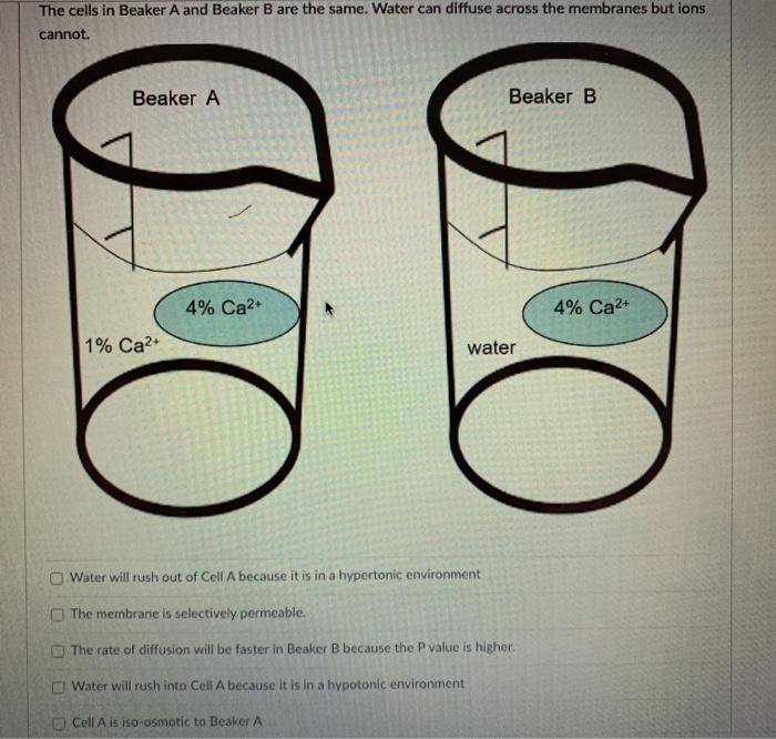Solved The cells in Beaker A and Beaker B are the same.