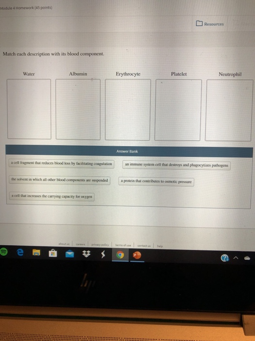 Solved Module 4 Homework (45 points) Resources Match each | Chegg.com