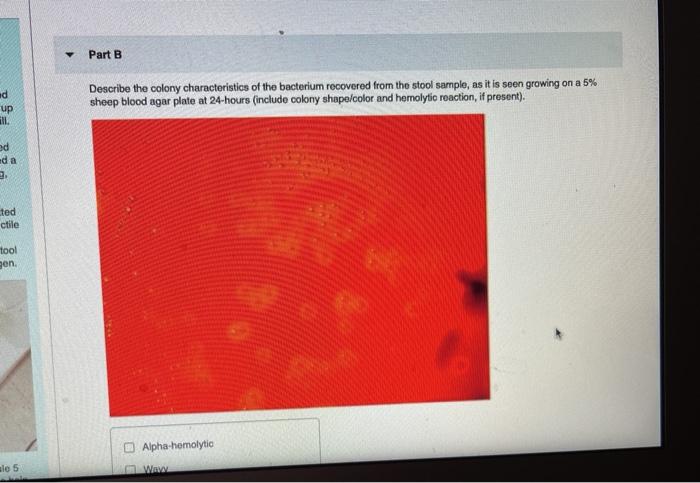 Solved Unknown #2 Unknown Question 1 1 of 1 Part A Interpret | Chegg.com