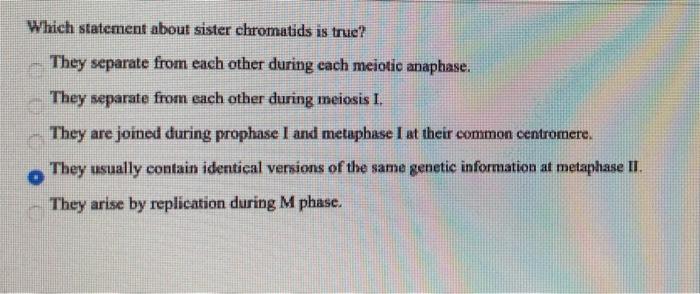Solved Which Statement About Sister Chromatids Is True? They | Chegg.com