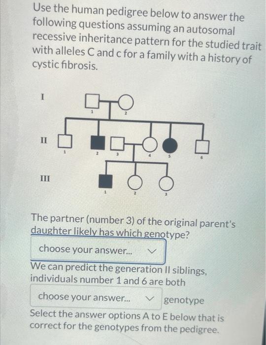 Solved Use The Human Pedigree Below To Answer The Following | Chegg.com