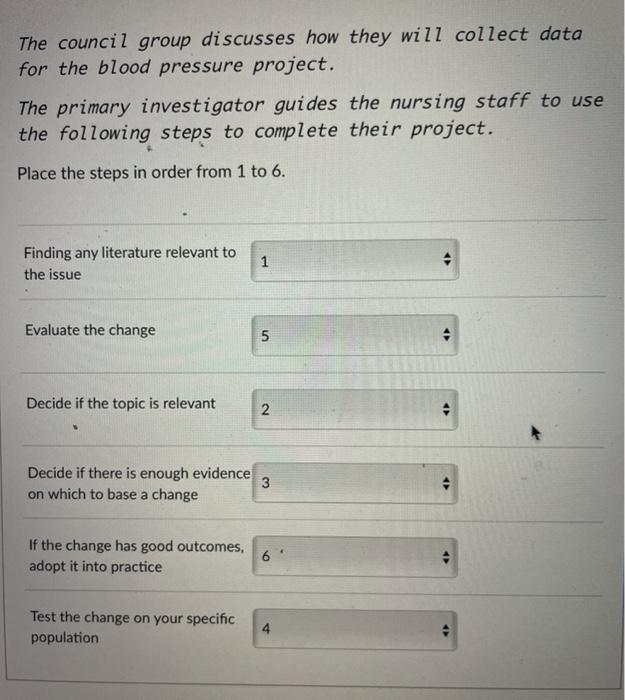 The council group discusses how they will collect data for the blood pressure project. The primary investigator guides the nu