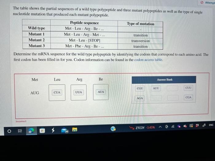 Solved Attempt Wild type The table shows the partial | Chegg.com
