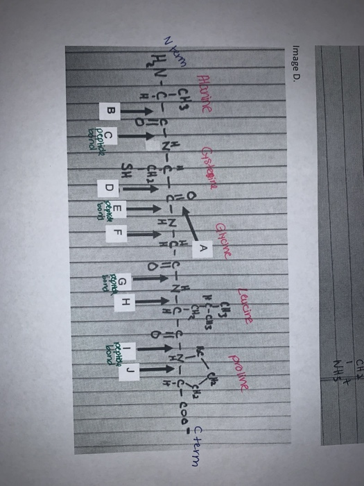 Solved What Are The Bonds Labeled A J And Any Informatio Chegg Com