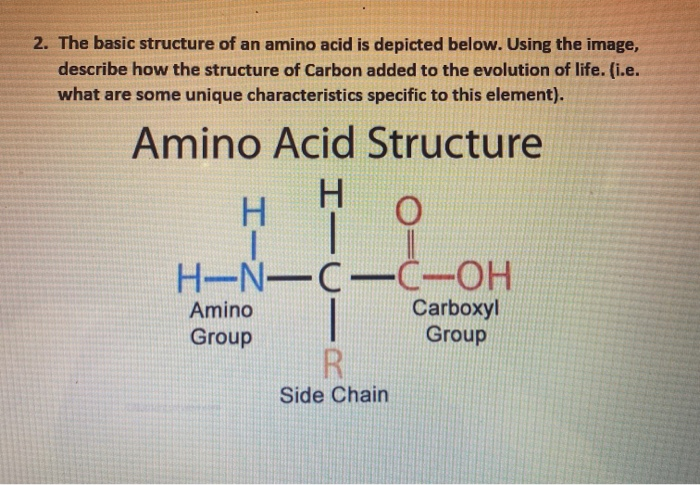 Solved 2. The basic structure of an amino acid is depicted | Chegg.com