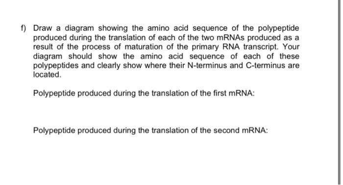 Solved f) Draw a diagram showing the amino acid sequence of | Chegg.com