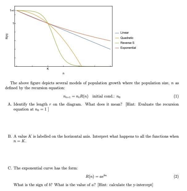 Solved 1+r R(n) Linear Quadratic Reverse s Exponential K The 
