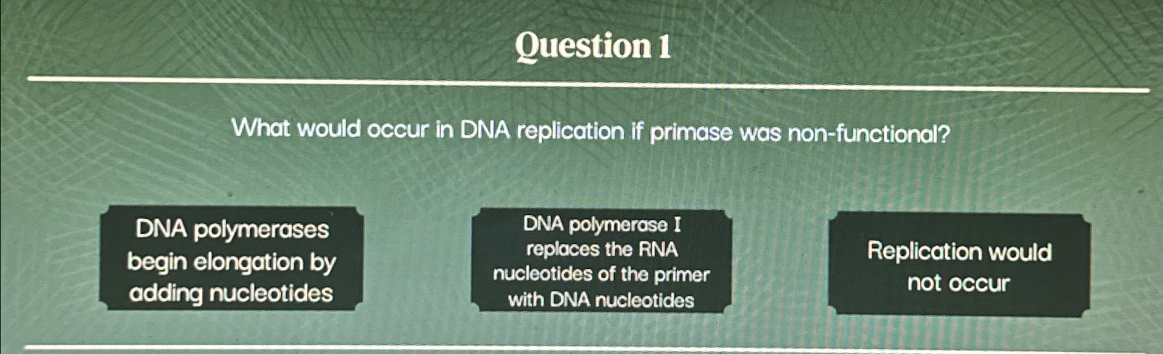 Solved Question 1What would occur in DNA replication if | Chegg.com