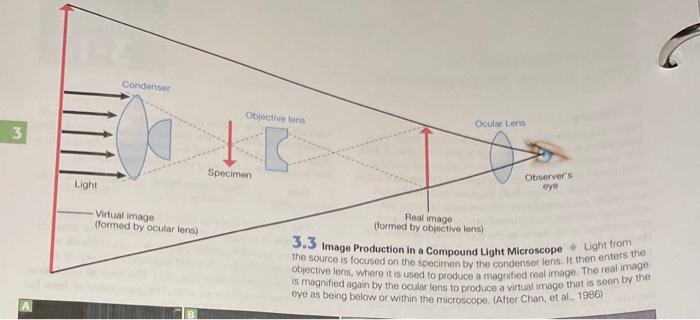 Solved examine figure 3.3 and explain the result you | Chegg.com