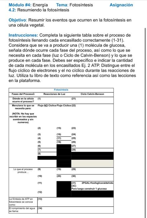 Objetivo: Resumir los eventos que ocurren en la fotosíntesis en una célula vegetal. Instrucciones: Completa la siguiente tab