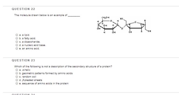 Solved QUESTION 22 The molecule drawn below is an example of | Chegg.com