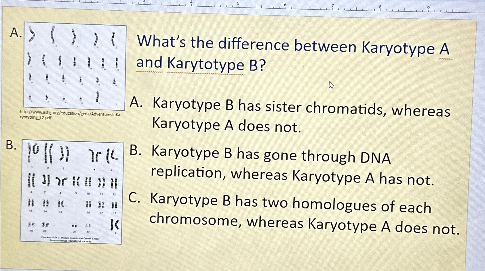 Solved A.What's The Difference Between Karyotype Aand | Chegg.com