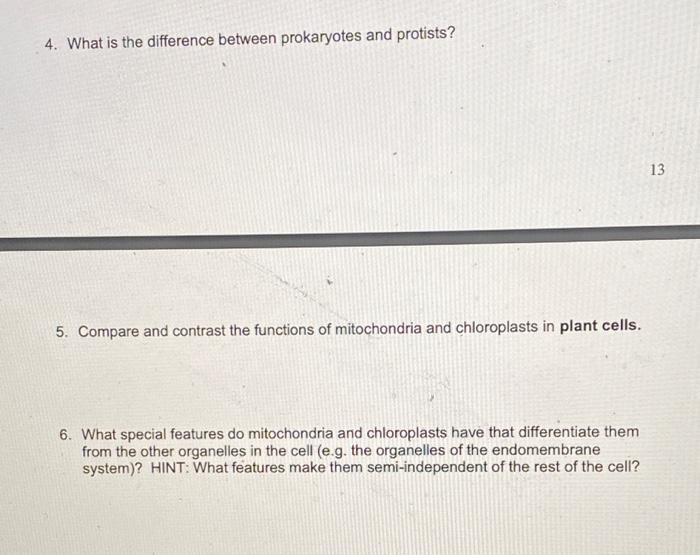 Solved 4. What is the difference between prokaryotes and | Chegg.com