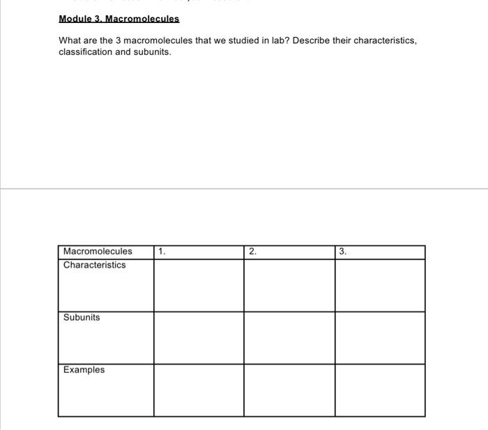 list the four macromolecules we have studied in this unit