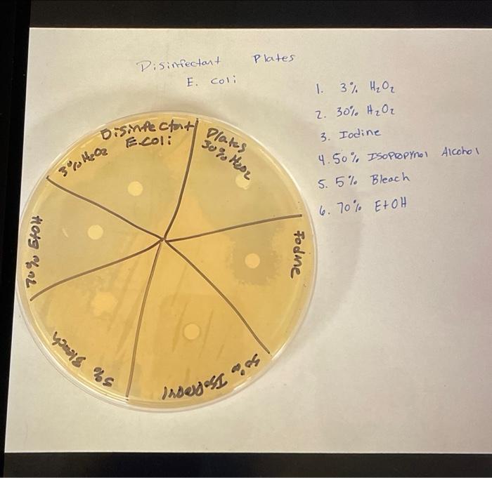 Solved EXPERIMENI 44 Name Date Section Lab Report | Chegg.com