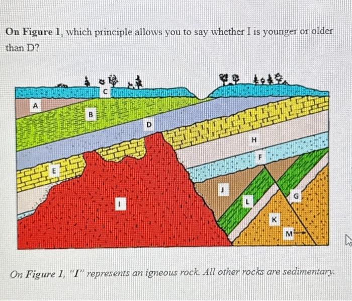 Solved On Figure 1, which principle allows you to say | Chegg.com