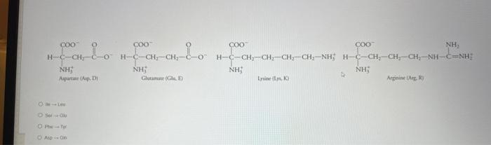 Solved urgent pleasea conservative amino acid substitution | Chegg.com