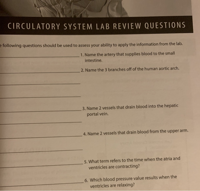 Solved CIRCULATORY SYSTEM LAB REVIEW QUESTIONS e following