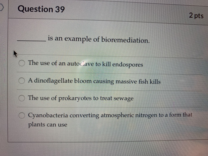 Solved A person's spleen may be removed (splenectomy) if it