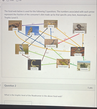 Solved The food web below is used for the following 5 | Chegg.com