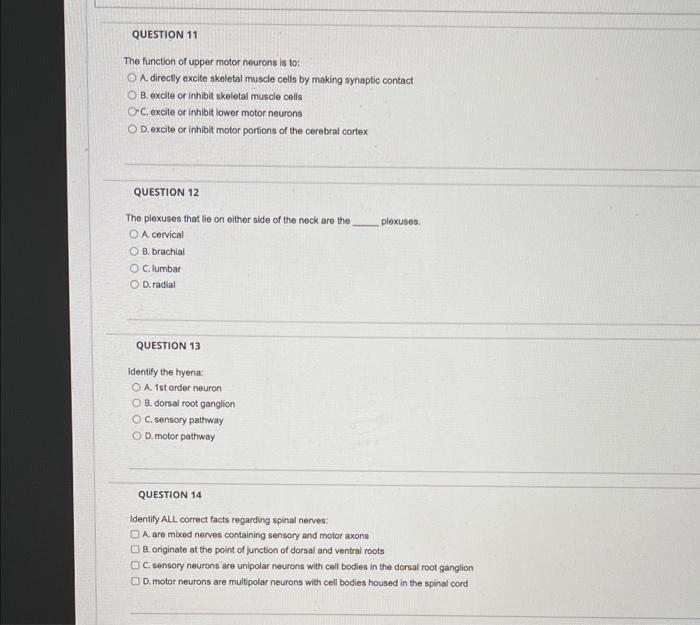 Solved QUESTION 11 The function of upper motor neurons is | Chegg.com