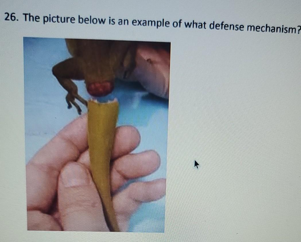 26. The picture below is an example of what defense mechanism? 0