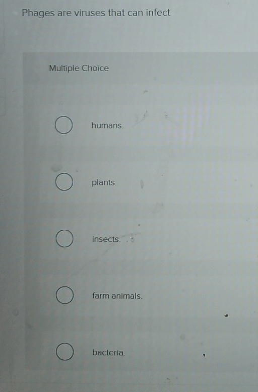 Solved Phages Are Viruses That Can Infectmultiple Chegg Com