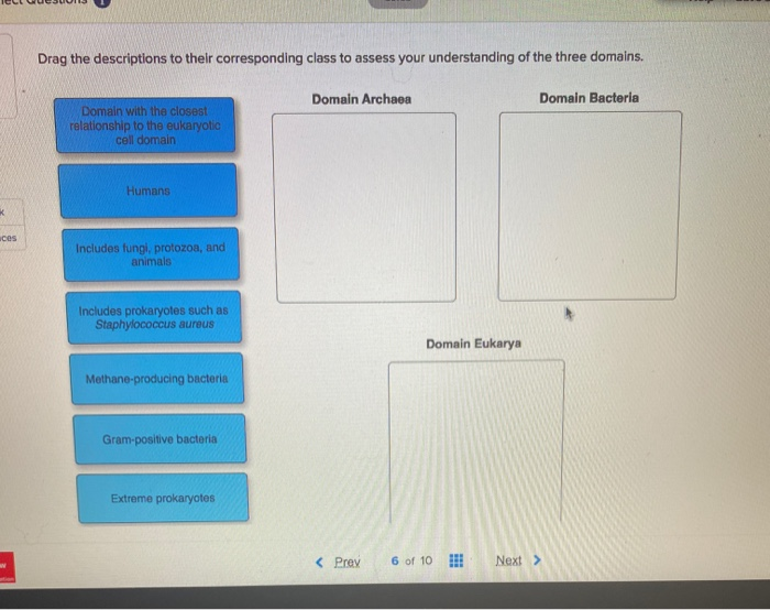 Solved Drag the descriptions to their corresponding class to