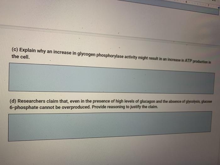 Solved (c) Explain why an increase in glycogen phosphorylase