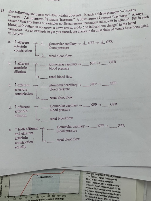 Solved 13. The following are cause and effect chains of | Chegg.com