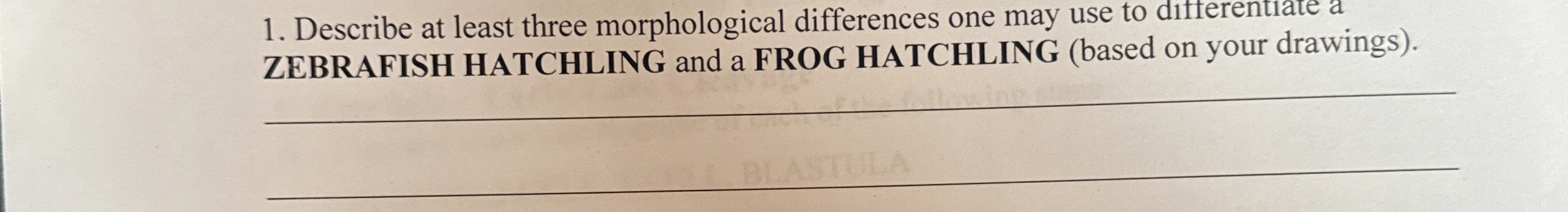 Solved Describe at least three morphological differences one | Chegg.com