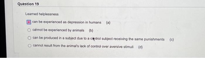 Severity is to Leniency as Cruelty is to – Exploring the Spectrum of Human Behavior