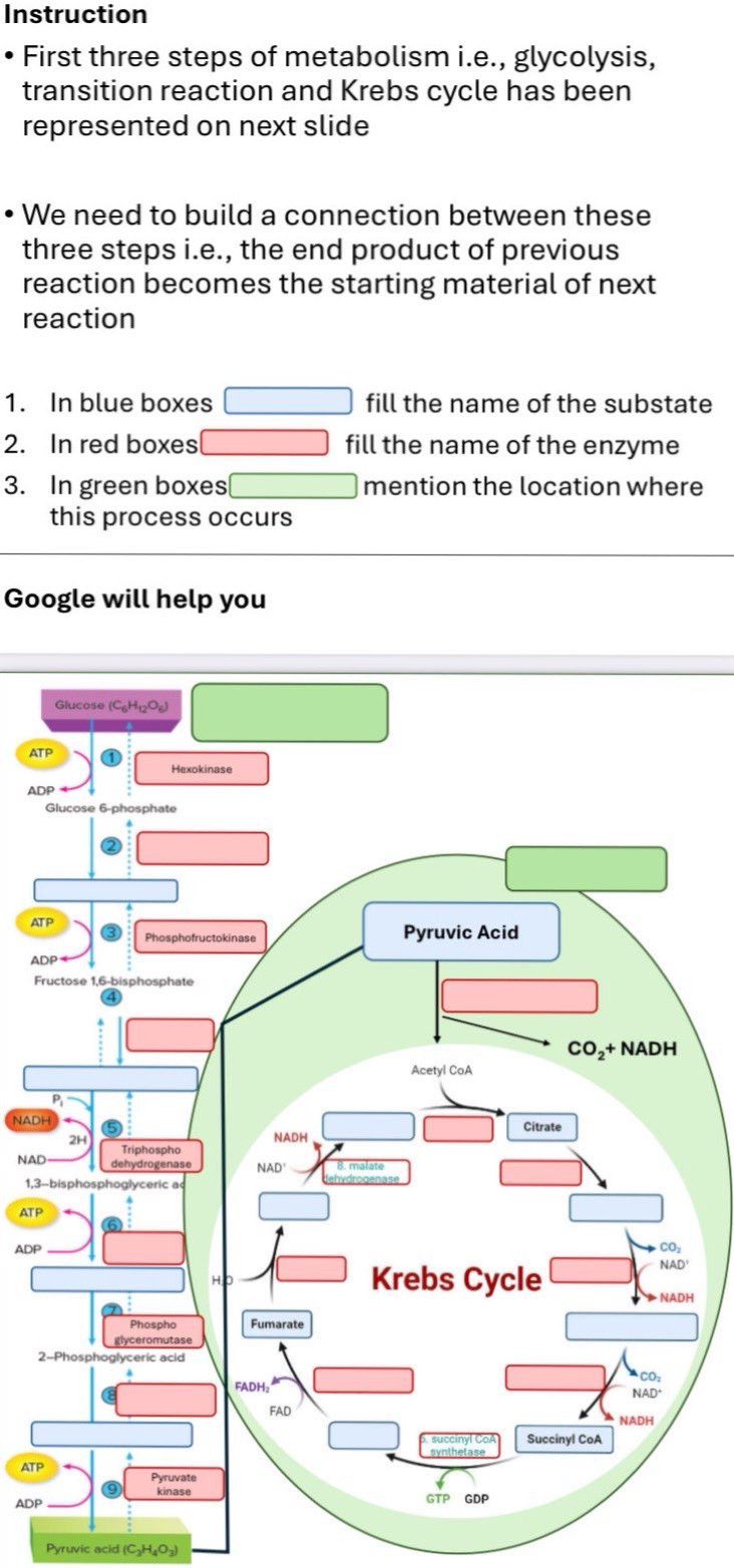 Solved InstructionFirst three steps of metabolism i.e., | Chegg.com