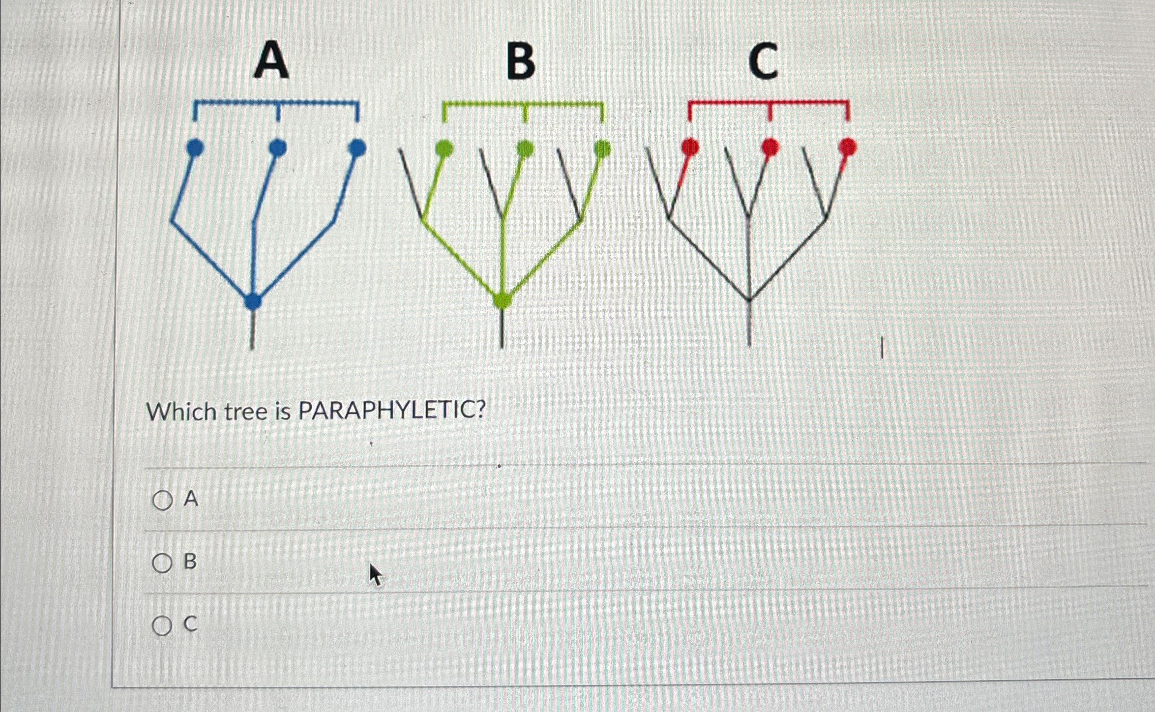 Solved Which tree is PARAPHYLETIC?ABC | Chegg.com