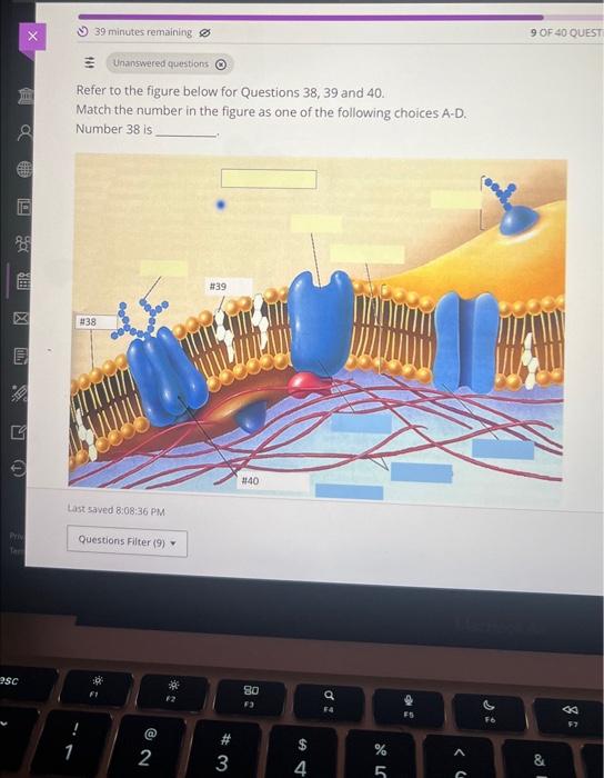 Solved Refer to the figure below for Questions 38, 39 and 40 | Chegg.com