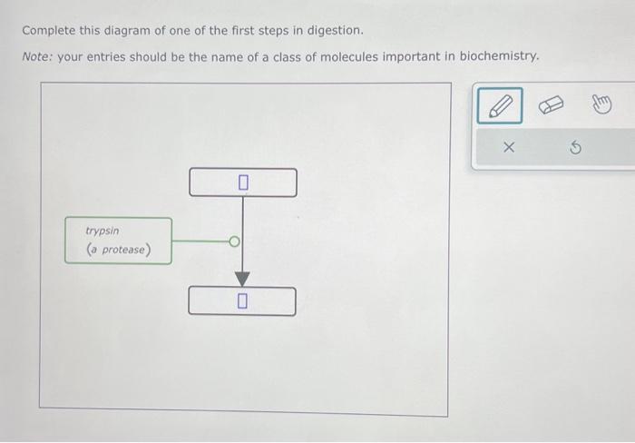 Solved Complete this diagram of one of the first steps in | Chegg.com