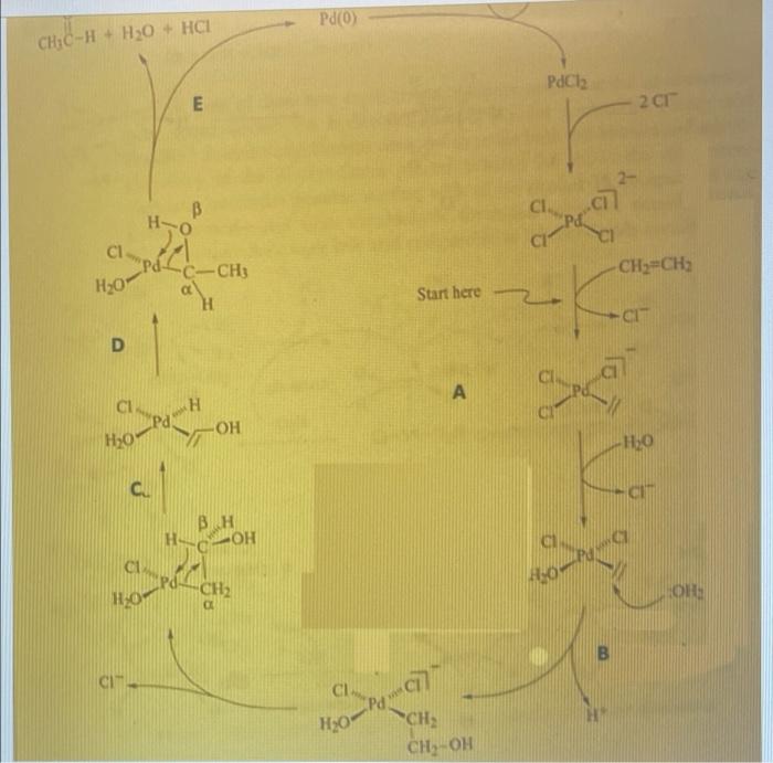 Solved Question For the catalytic cycle below identify each | Chegg.com
