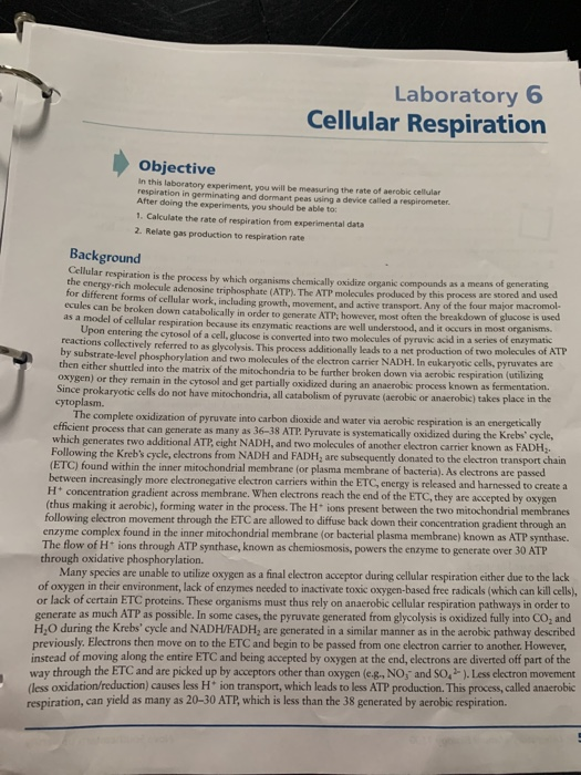 Please Help Me With This This Is A Lab Report And Chegg Com