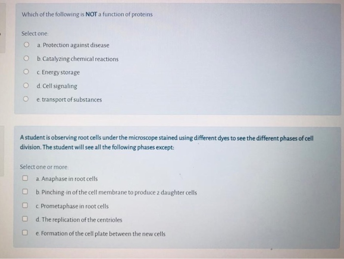 solved-which-of-the-following-is-not-a-function-of-proteins-chegg