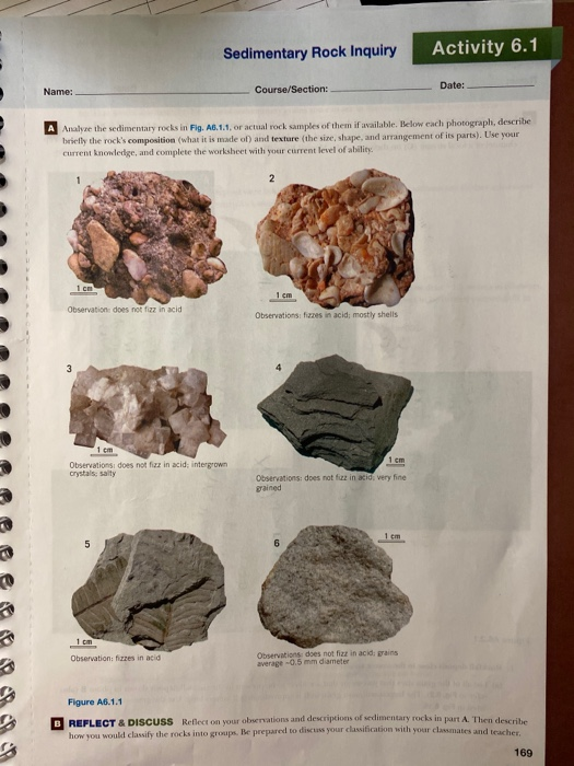 Solved Sedimentary Rock Inquiry Activity 6.1 Course/Section: | Chegg.com