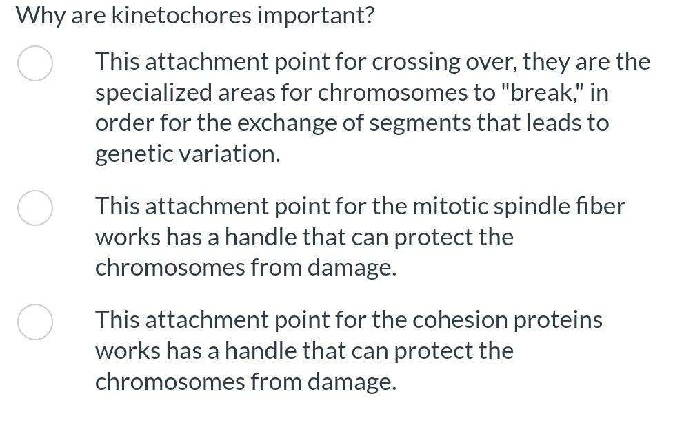 Solved Why are kinetochores important? This attachment point Biology Diagrams
